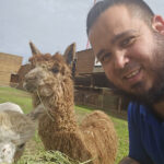 VISIT ALPACA FARM