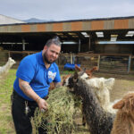 VISIT ALPACA FARM